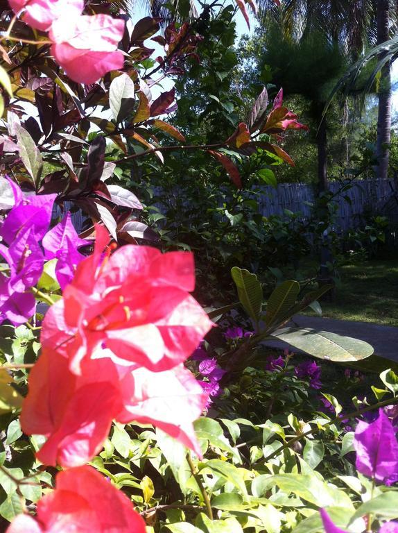 Gili Garden Bungalow Gili Meno Εξωτερικό φωτογραφία